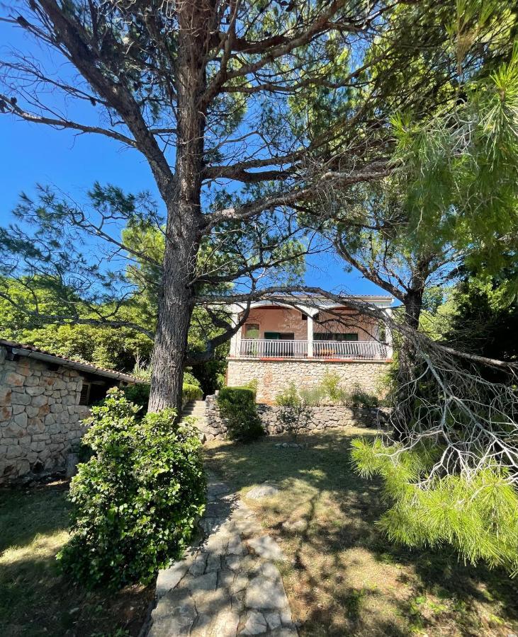 Kuca Roberta, Holiday home *